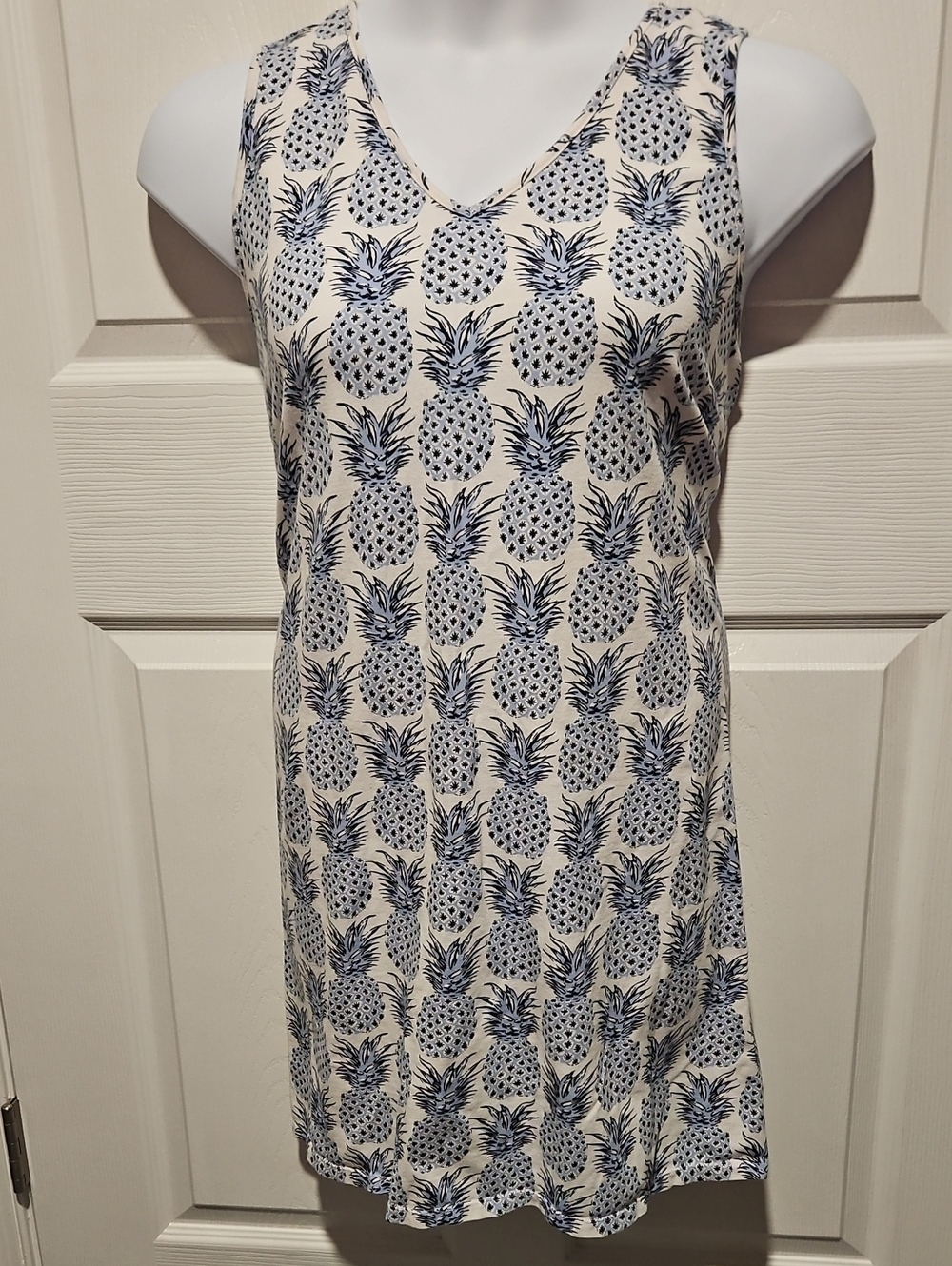 Crown & Ivy Blue Pineapple Print Sleeveless Mini Dress on Cream